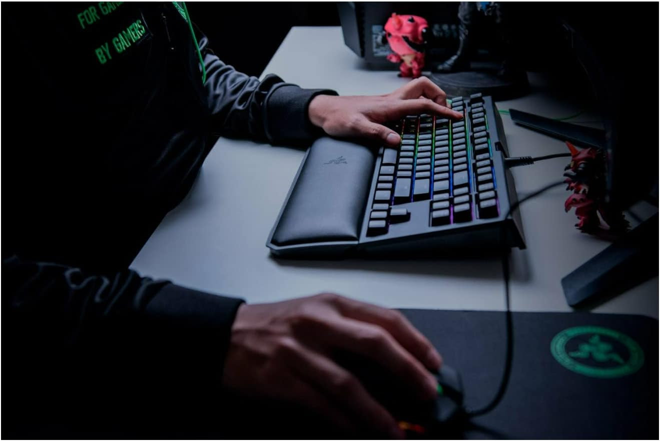 Blackwidow TE Chroma V2 TKL Tenkeyless Mechanical Gaming Keyboard: Orange Key Switches, Tactile & Silent, Chroma RGB Lighting, Magnetic Wrist Rest, Programmable Macros, Classic Black